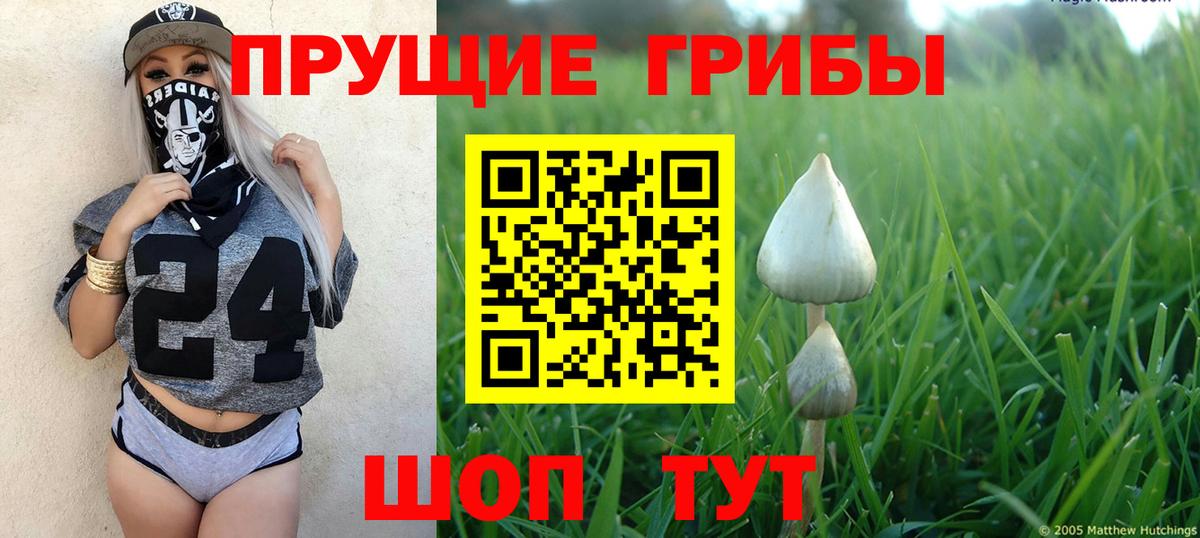 Галлюциногенные грибы прущие грибы  Вход с VPN  Галлюциногенные грибы MAGIC MUSHROOMS  Каменка 