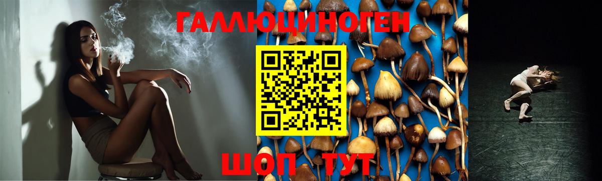 Галлюциногенные грибы Magic Shrooms Каменка